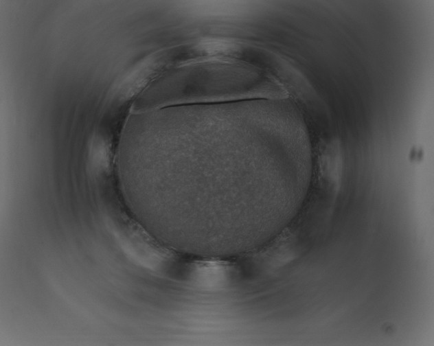 X0000110730316200906261525