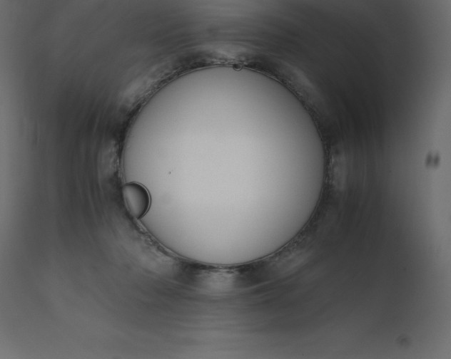 X0000110730318200906261525