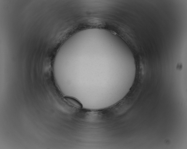 X0000110730320200906261525