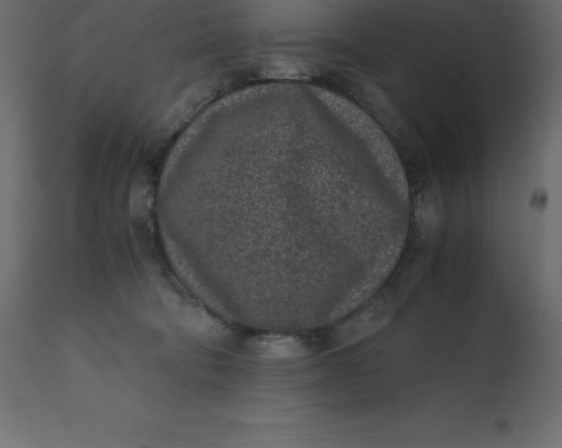 X0000110730322200906261525