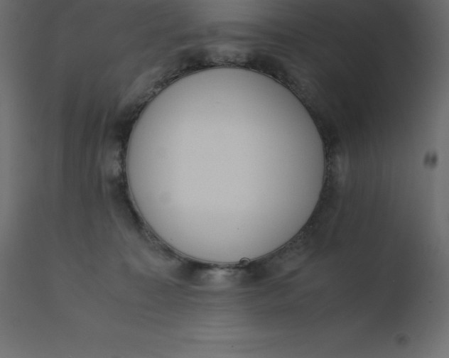 X0000110730323200906261525