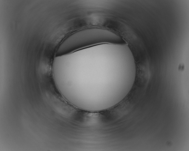 X0000110730324200906261525