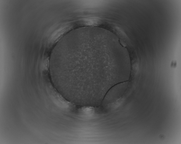 X0000110730325200906261525