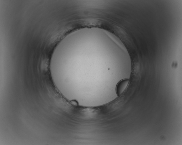 X0000110730326200906261525