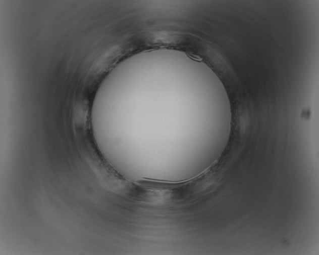 X0000110730328200906261525