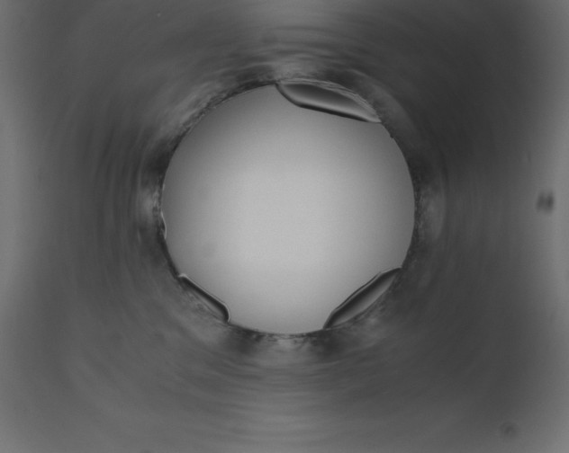 X0000110730329200906261525