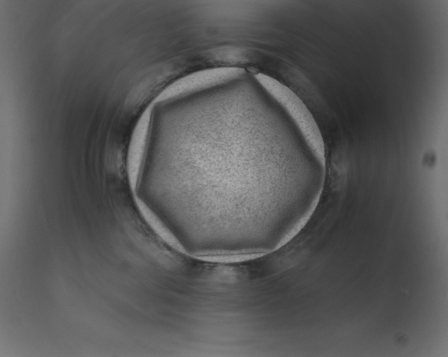 X0000110730330200906261525