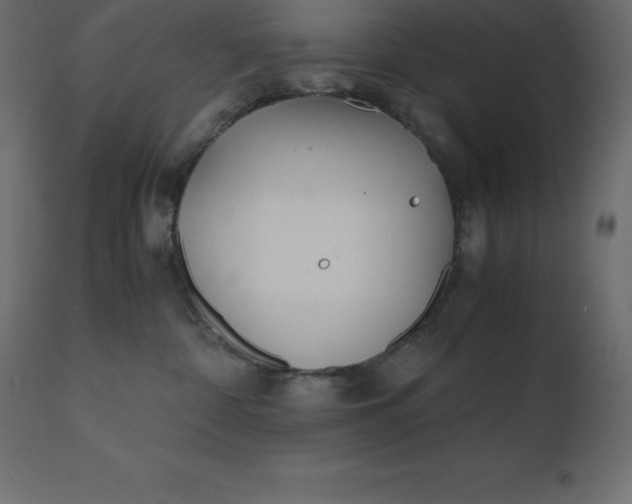 X0000110730332200906261525