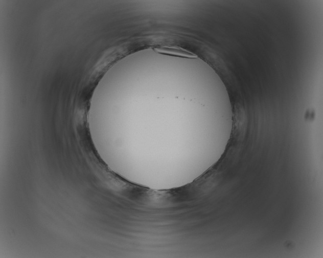 X0000110730333200906261525