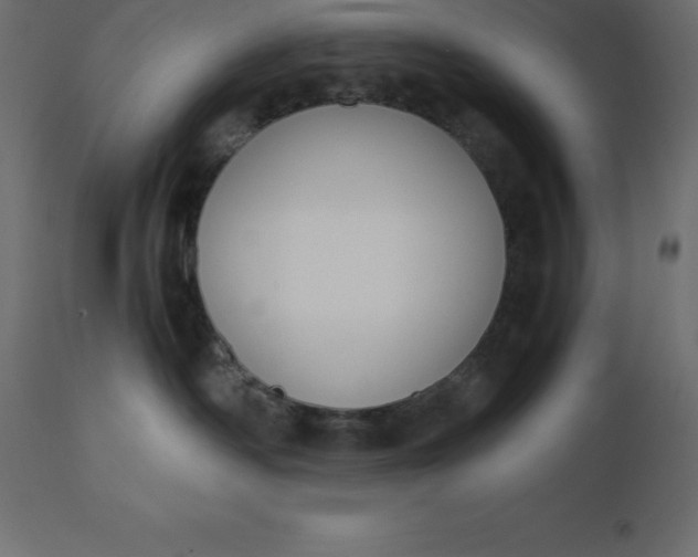 X0000110730334200906261524