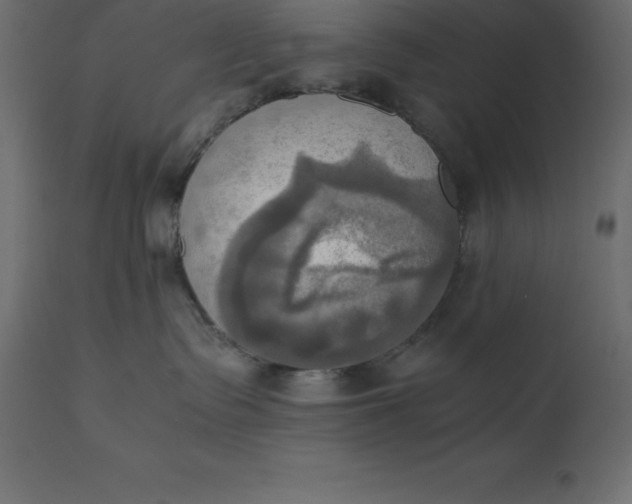 X0000110730335200906261524