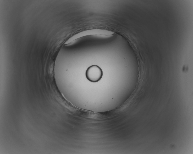 X0000110730336200906261524