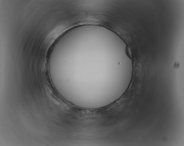 X0000110730338200906261524