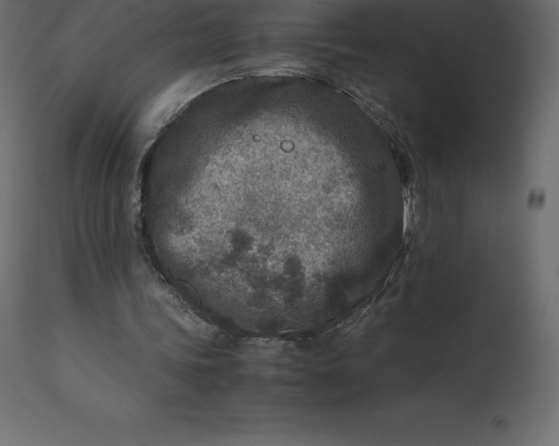 X0000110730339200906261524