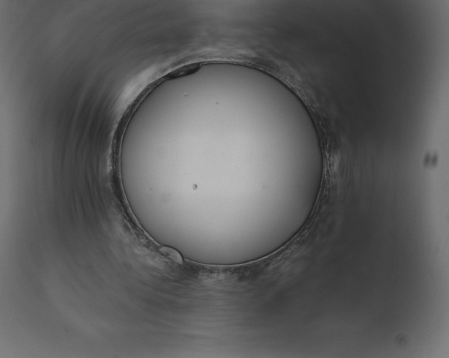 X0000110730340200906261524