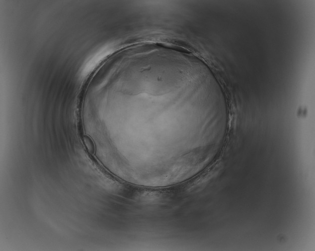 X0000110730341200906261524