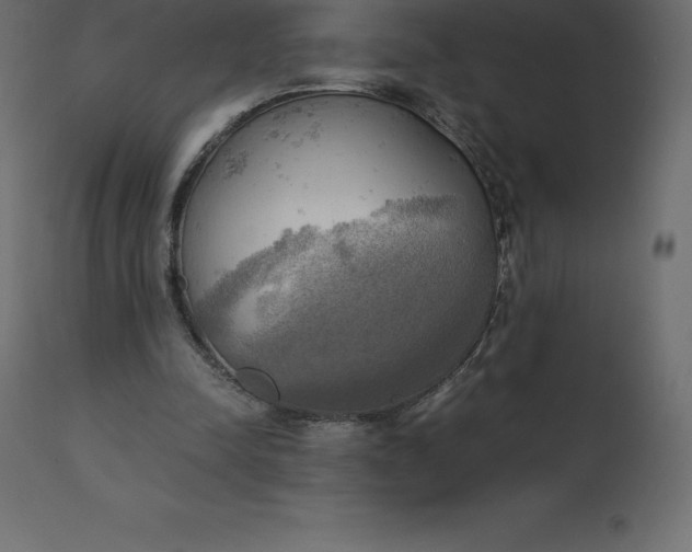 X0000110730342200906261524