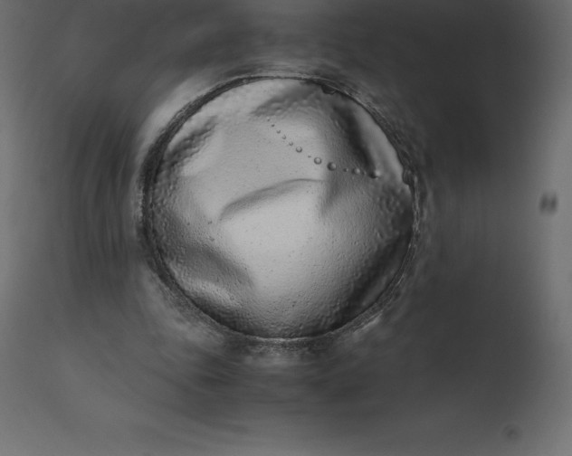 X0000110730343200906261524