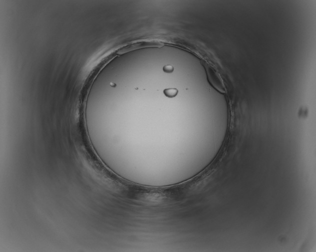 X0000110730344200906261524