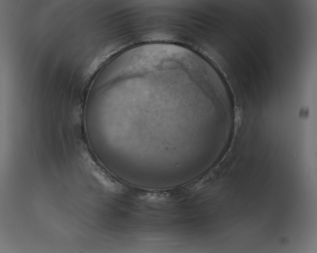 X0000110730345200906261524