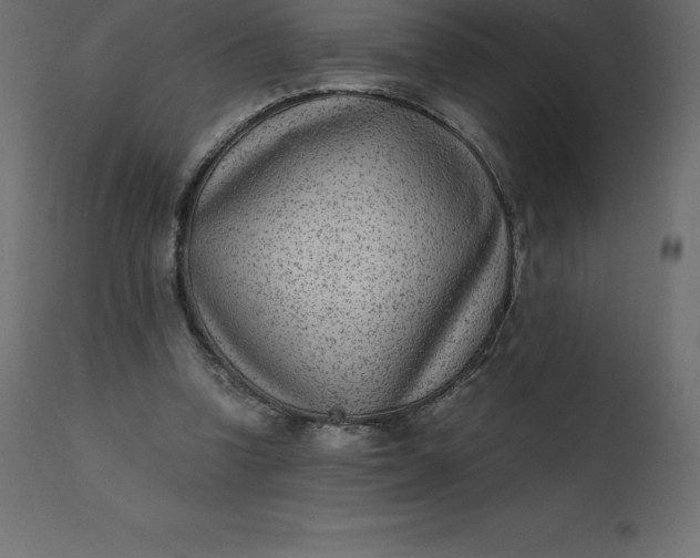 X0000110730346200906261524