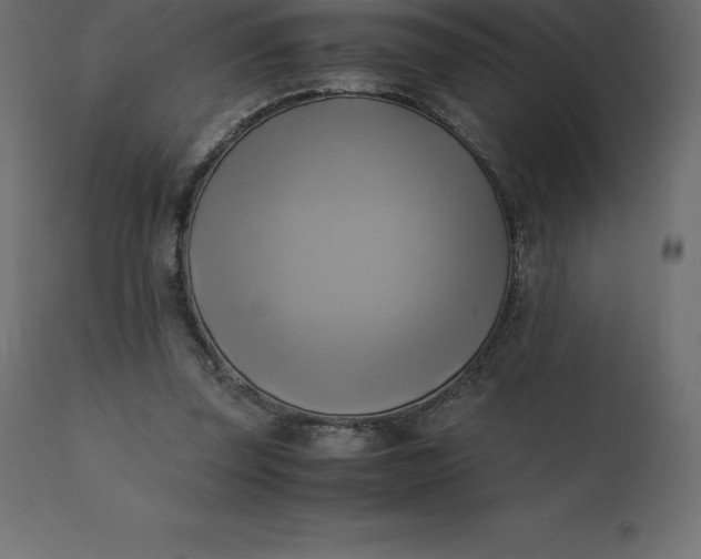 X0000110730347200906261524