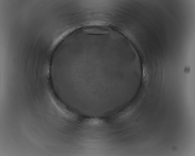 X0000110730348200906261524