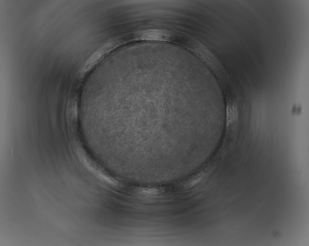 X0000110730349200906261524