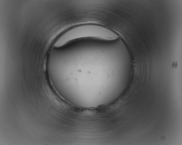 X0000110730350200906261524