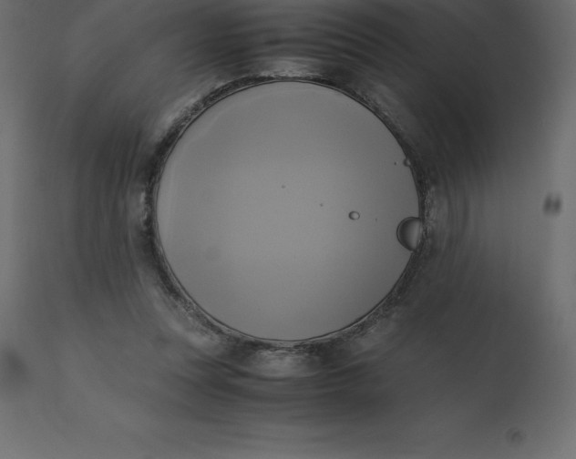 X0000110730351200906261524