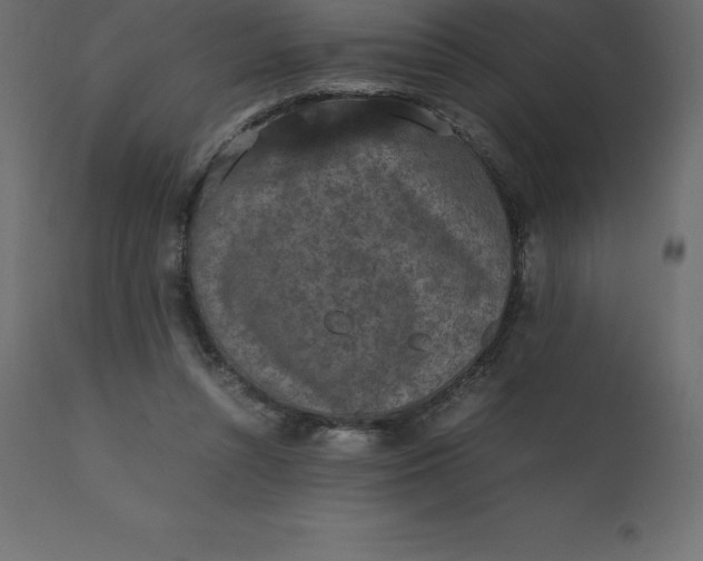 X0000110730352200906261524