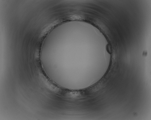 X0000110730353200906261524