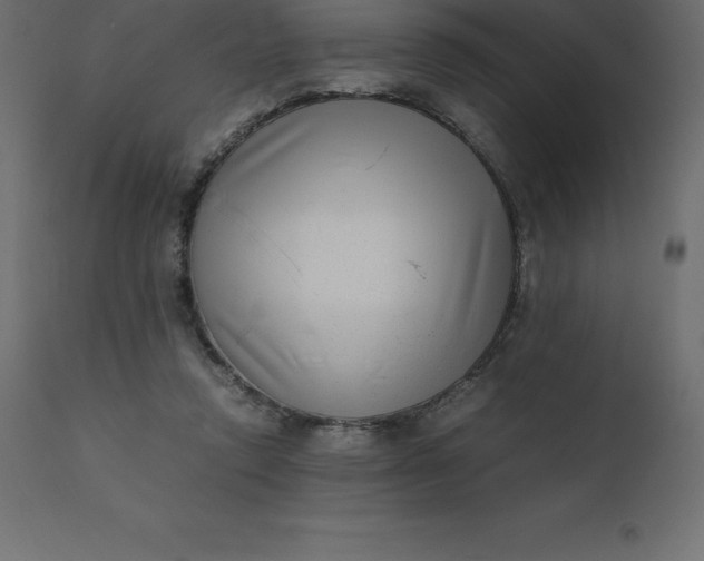 X0000110730354200906261524