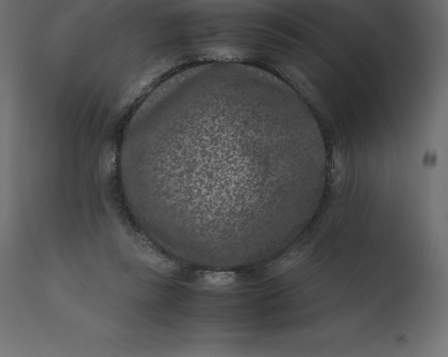 X0000110730355200906261524