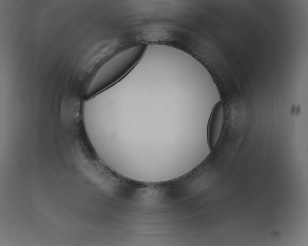 X0000110730356200906261524