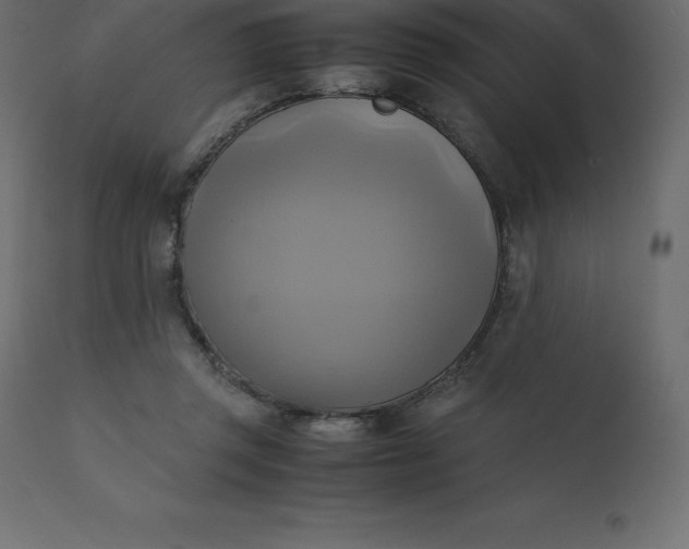 X0000110730357200906261524