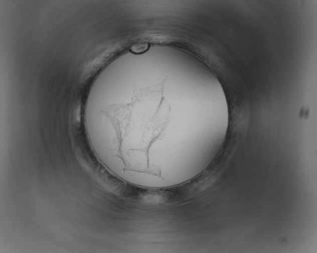 X0000110730358200906261524