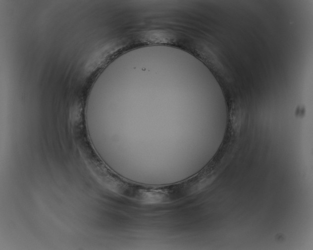 X0000110730359200906261524