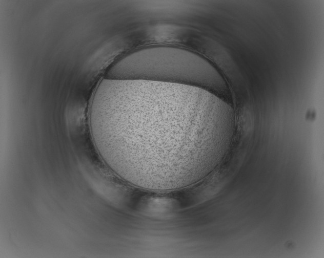 X0000110730360200906261524