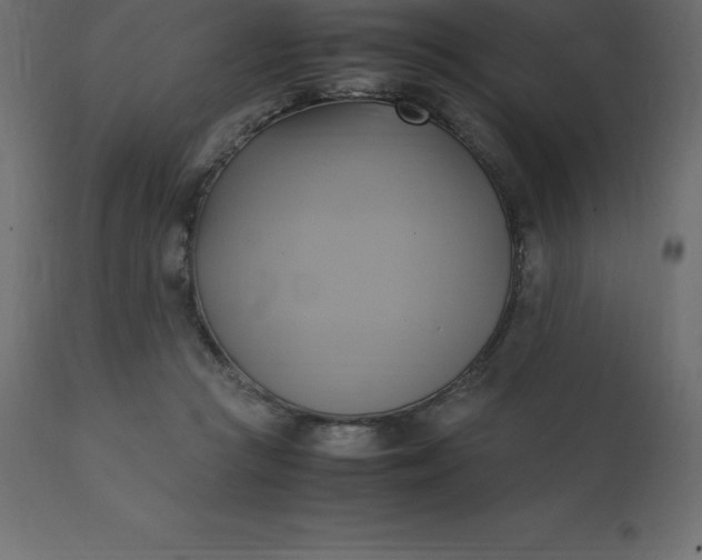 X0000110730361200906261524