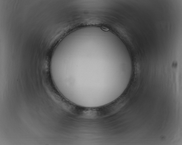 X0000110730362200906261524