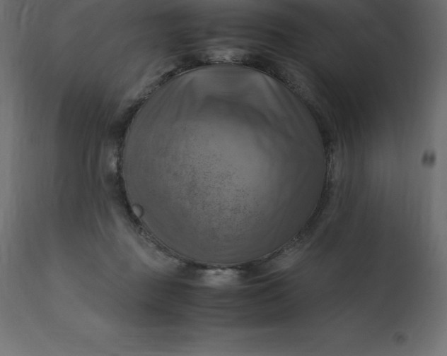 X0000110730363200906261524