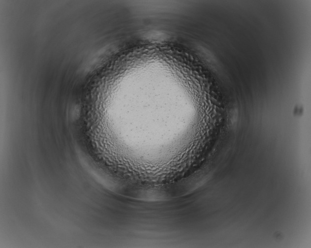 X0000110730365200906261524