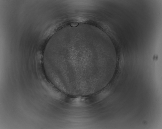 X0000110730366200906261524