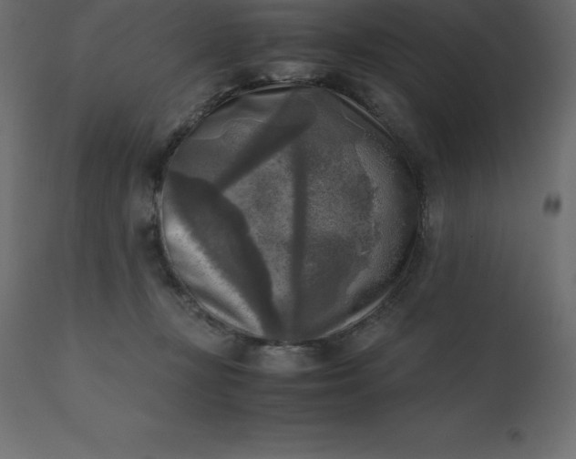 X0000110730367200906261524