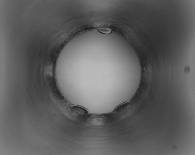 X0000110730368200906261524