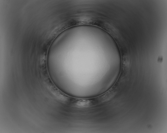 X0000110730369200906261524