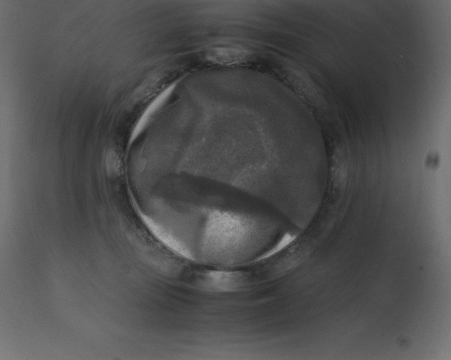 X0000110730371200906261524