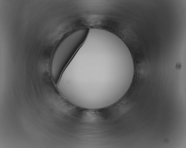 X0000110730372200906261524