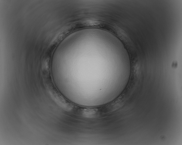 X0000110730373200906261524